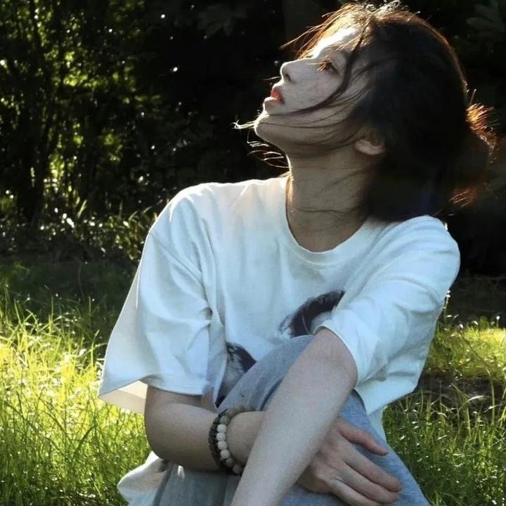 消失的大象