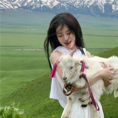 史酷比与精灵国王